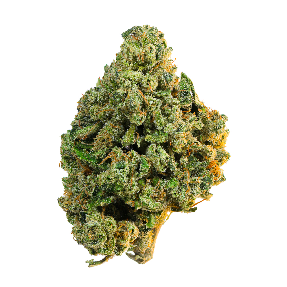 Photograph of product: MENDO BISCUITS 3.5G