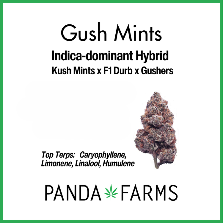 Photograph of product: Gush Mints - 3.5g