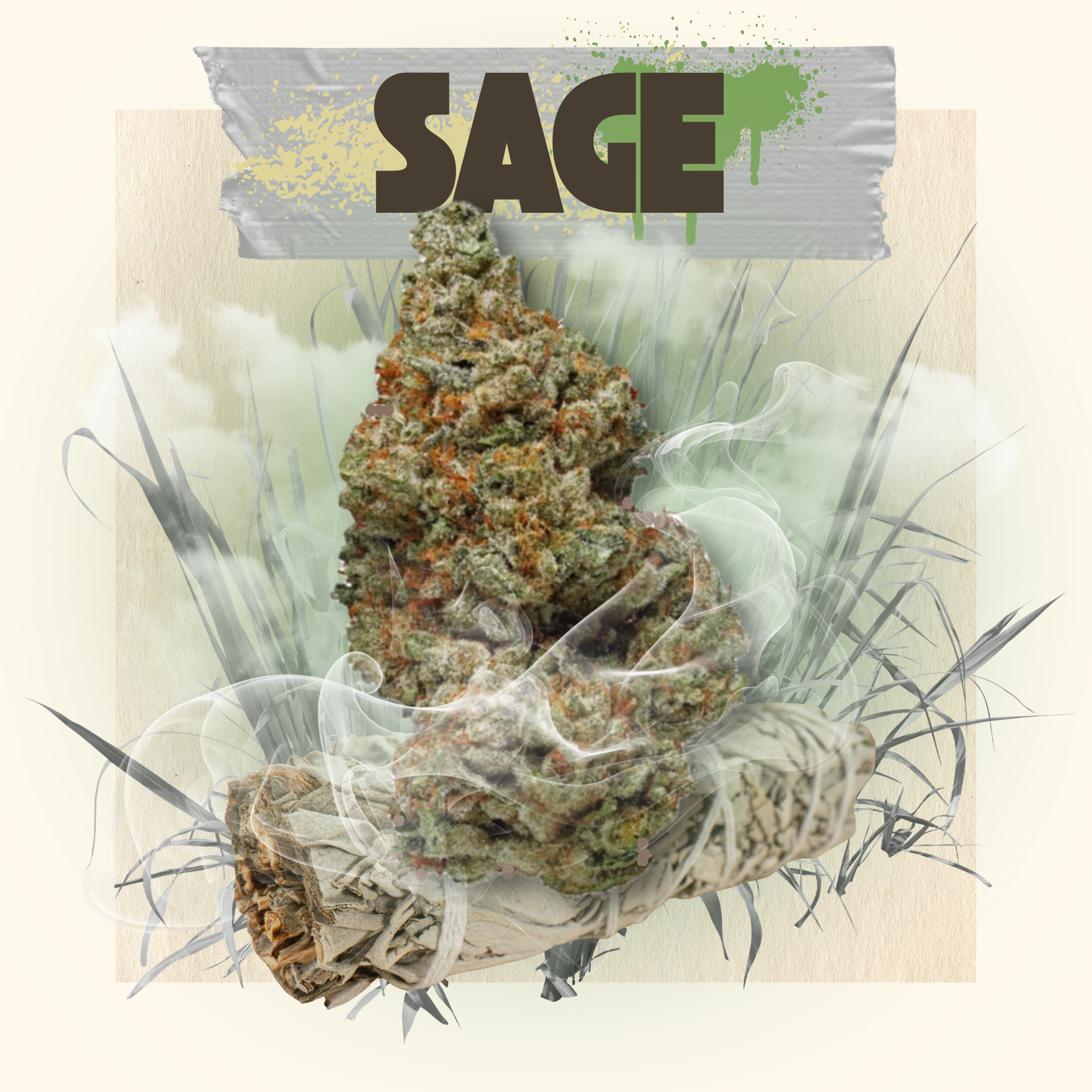 Photograph of product: Belushi's Farm - Sage - 3.5g