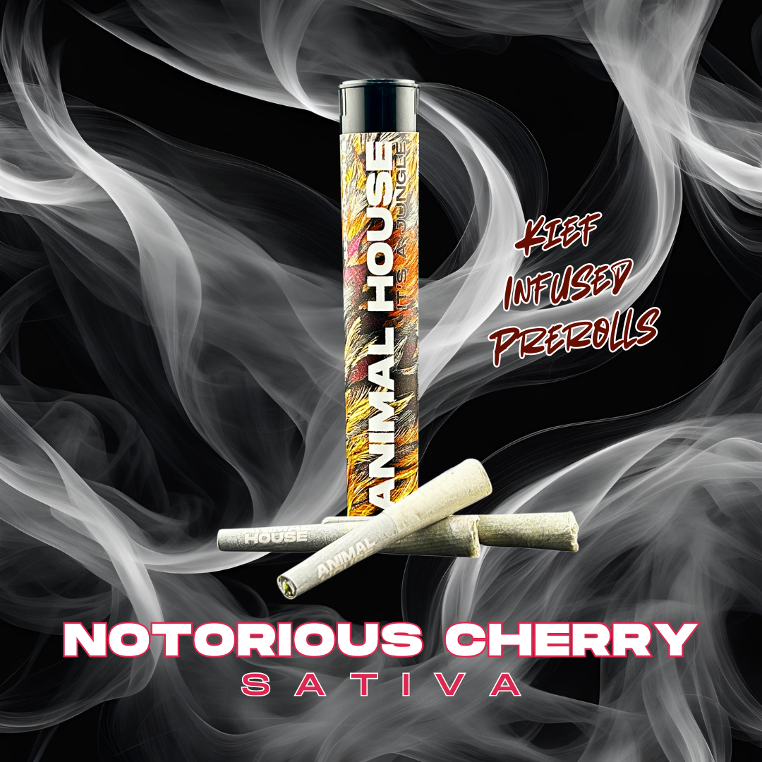 Photograph of product: Animal House | Notorious Cherry 3pk | Kief Infused Preroll