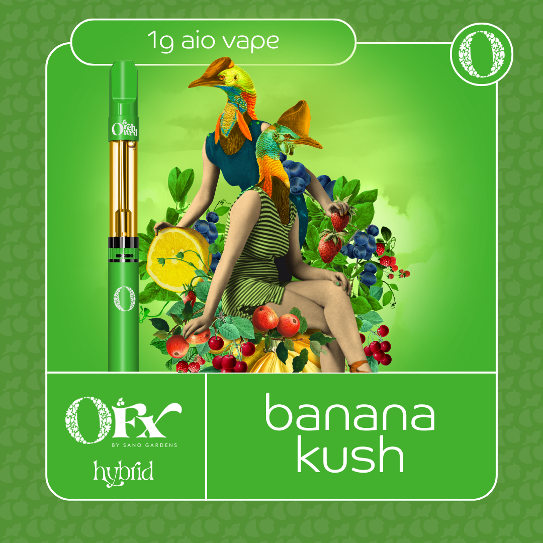 Photograph of product: Sano Gardens - 1000mg Orchard Rosin FX AIO (H) - - Banana Kush
