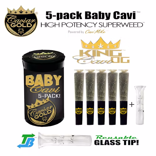 Photograph of product: Caviar Gold - Baby Cavi - x 5pk Infused Preroll - King Cavi OG