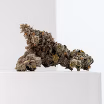 Photograph of product: LemonCherrySherbert-Flower-|Oui'dDominant|JC - 3.5g