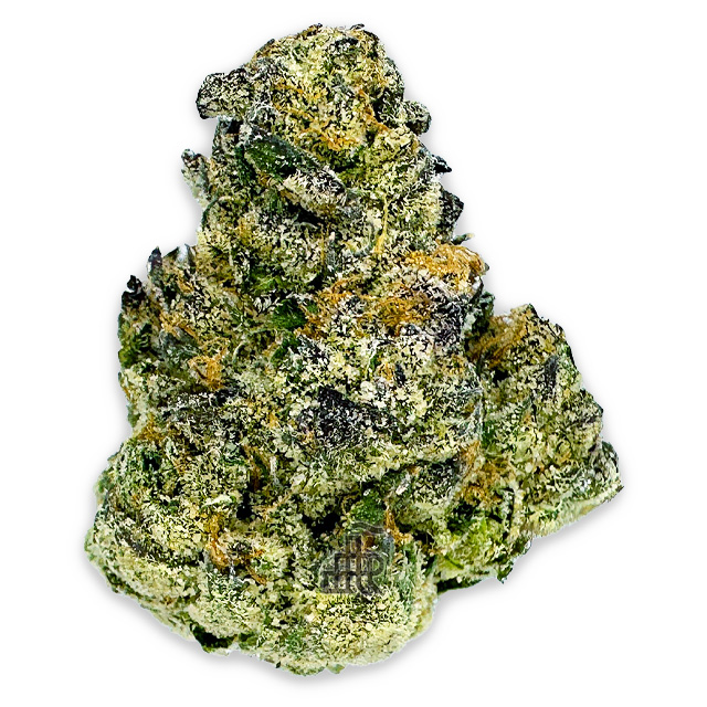 Photograph of Product: Black Cherry Gelato | Deli Style | Tier Five - 14g