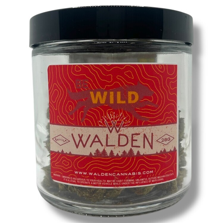 Photograph of product: Cinderella 99 (Wild) Flower Jar (Walden) - 28g