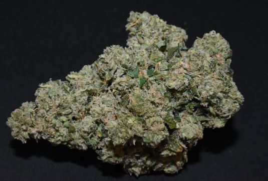 Photograph of product: Curaleaf Whole Flower 28g Humboldt Sour Diesel (S) TC 25.520% 00892 (28g)