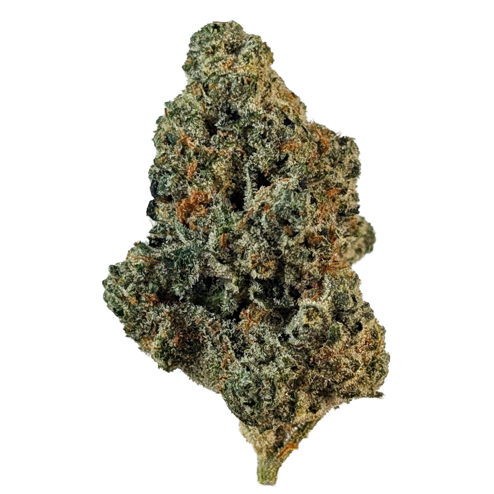 Photograph of product: ICE CREAM MINTS - BULK FLOWER - 32g