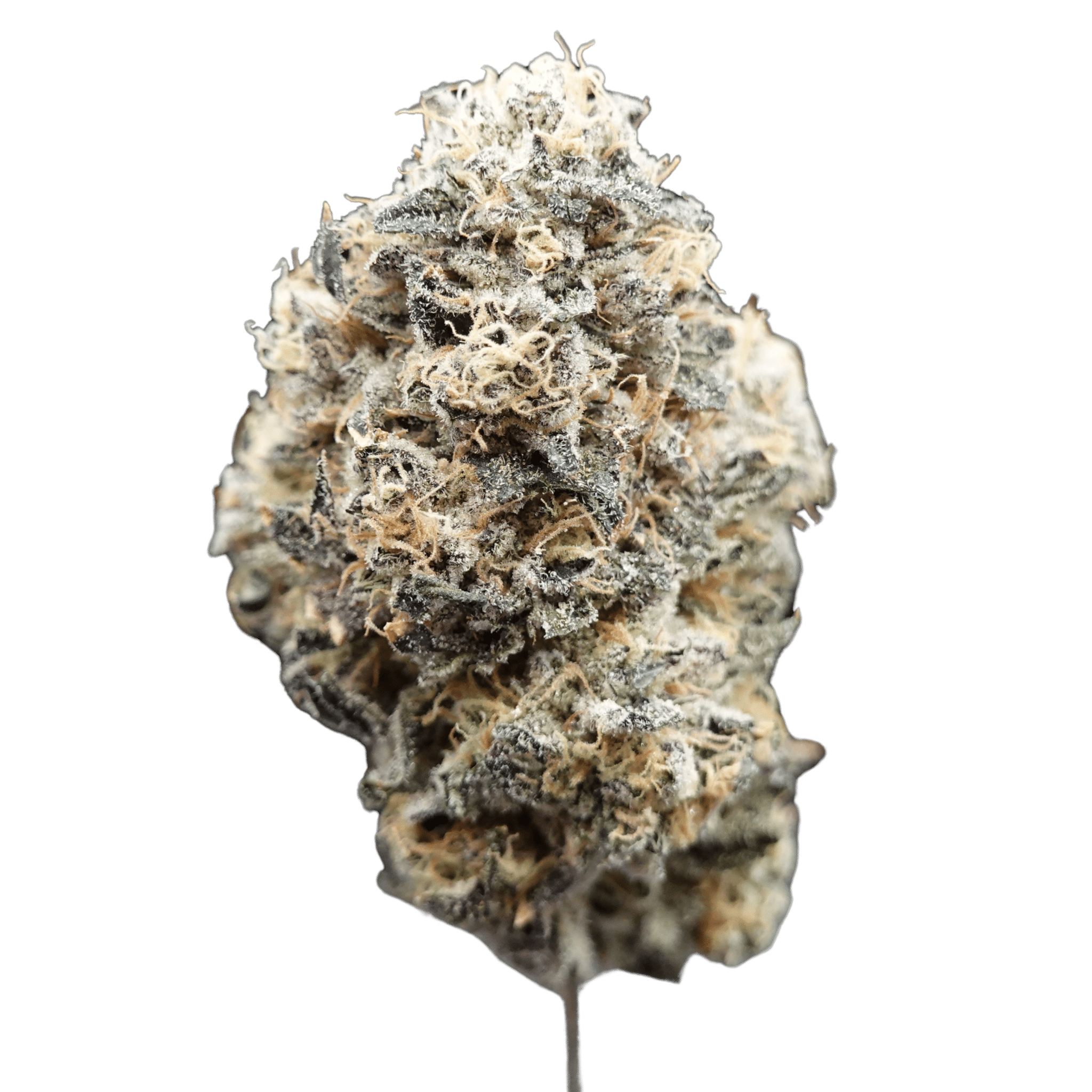 Photograph of product: Zoap Mintz | 1/8 Indoor Flower | - 3.5g