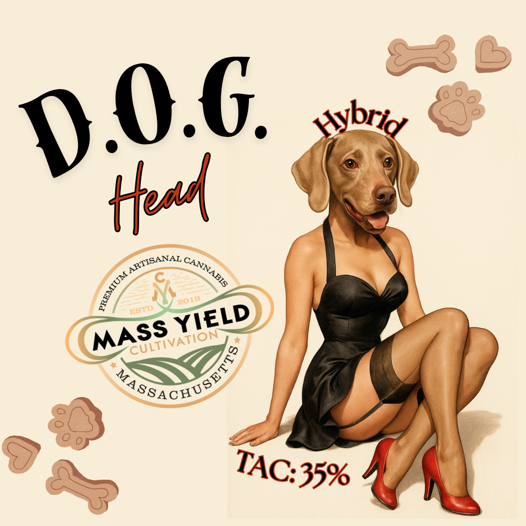 Photograph of product: Mass Yield - D.O.G. Head Deli Style Flower - 1g