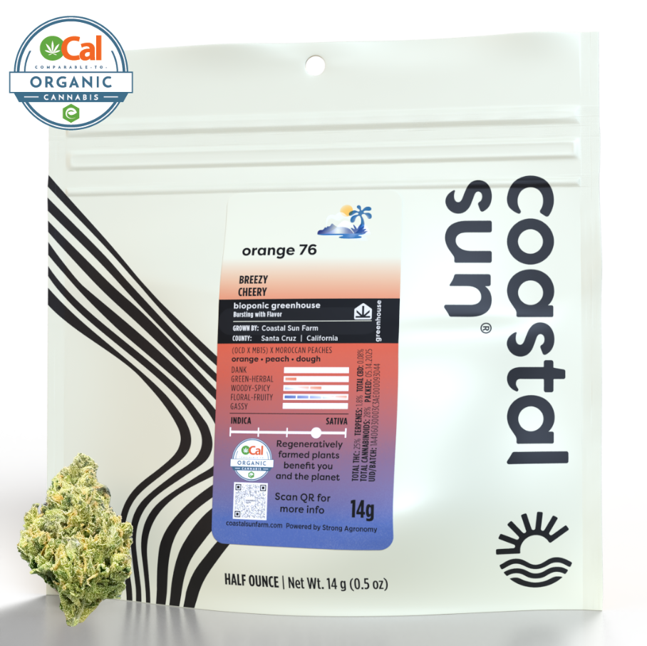 Photograph of product: Coastal Sun | Orange 76 - 14g