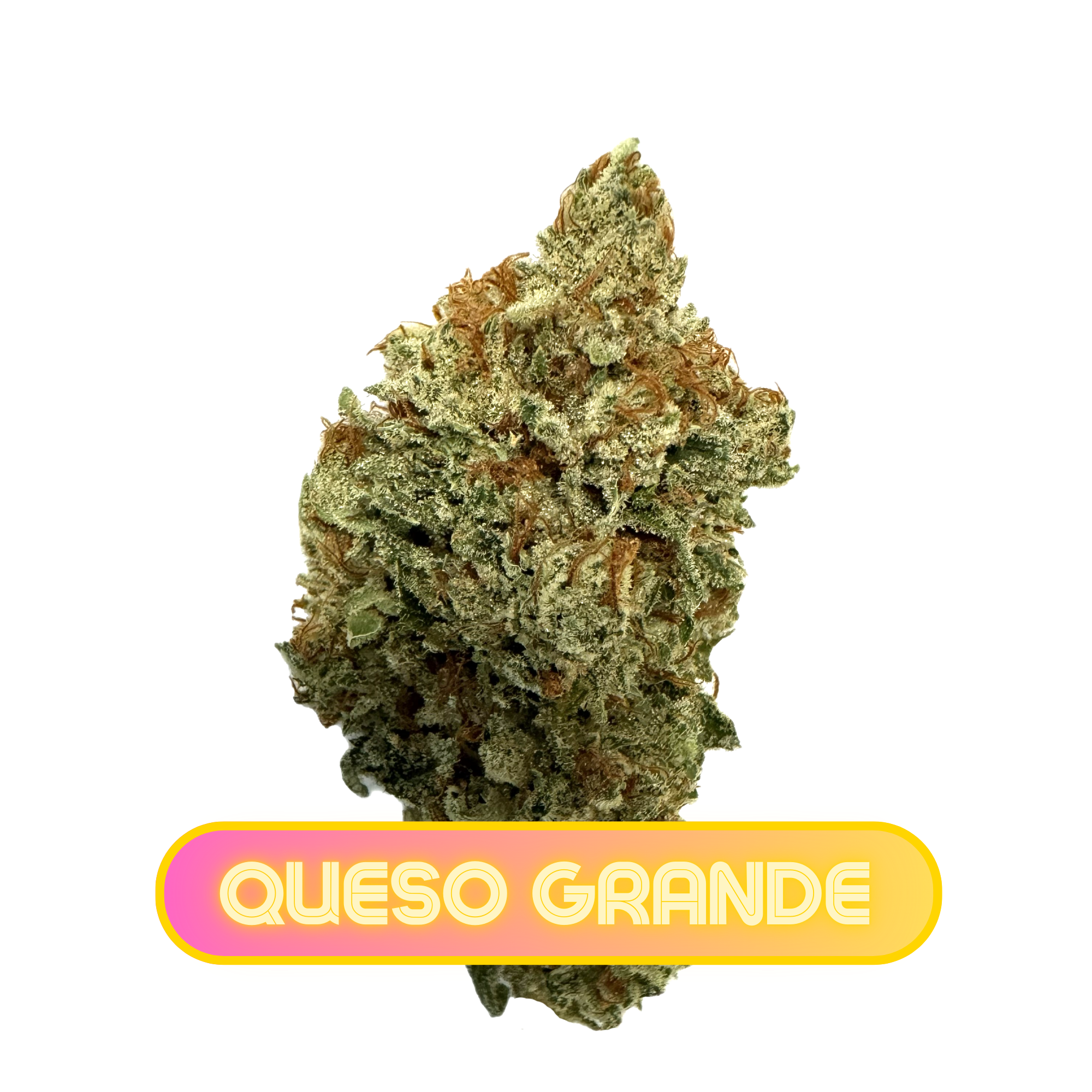 Photograph of product: MPX Select Queso Grande Flower - 3.5g