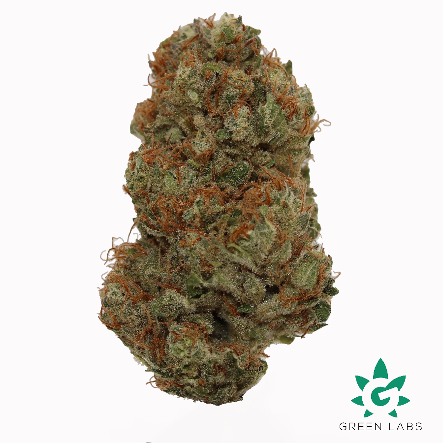 Photograph of product: (REC) Death Star Buds - By Dutch Touch Genetics