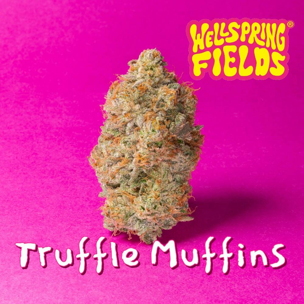 Photograph of product: Truffle Muffins | 2.83g - 