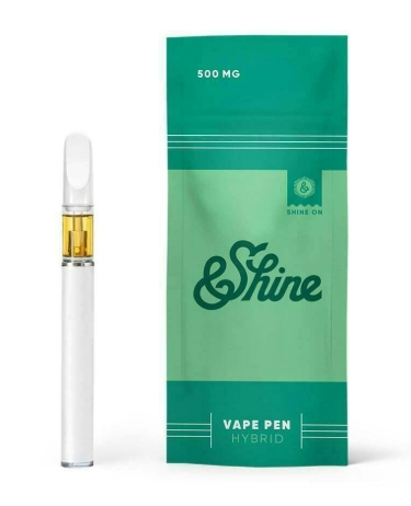 Photograph of product: Apple Fritter | Disposable | 0.5g