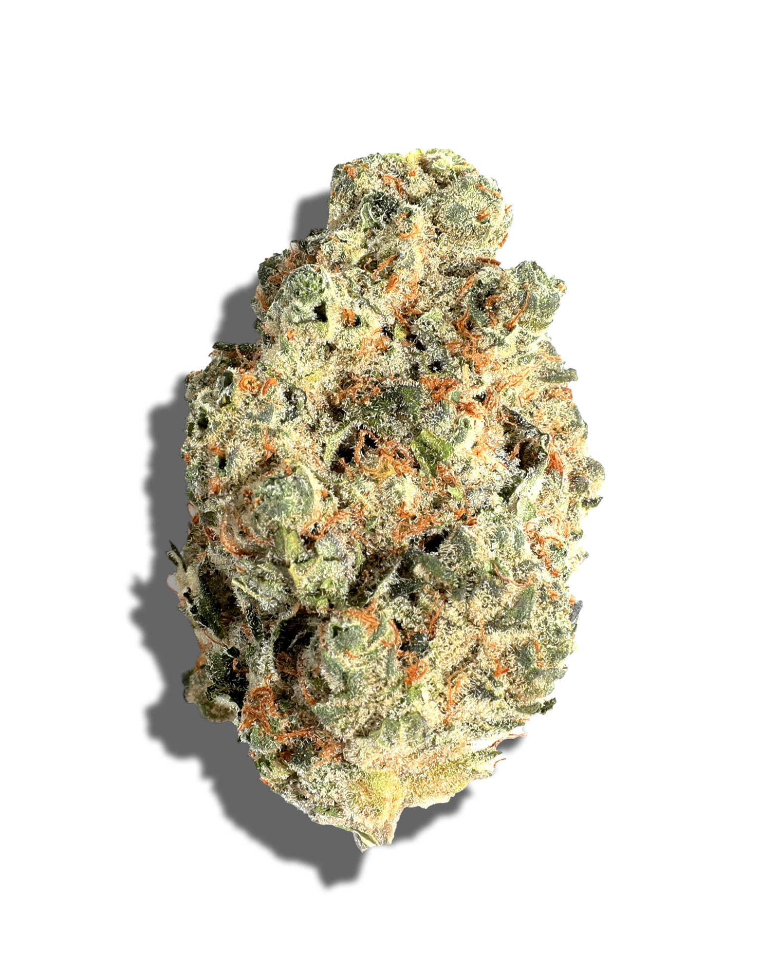 Photograph of product: GARLIC COOKIES 1OZ - 28g