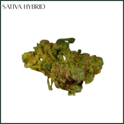 Photograph of product: Molecular Farms | Citrus Dream | Flower l - 3.5g