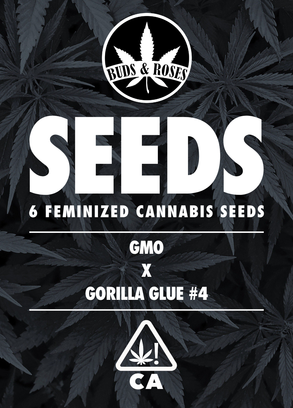Photograph of product: 6pk Fem Seeds - Gorilla Glue #4 x GMO