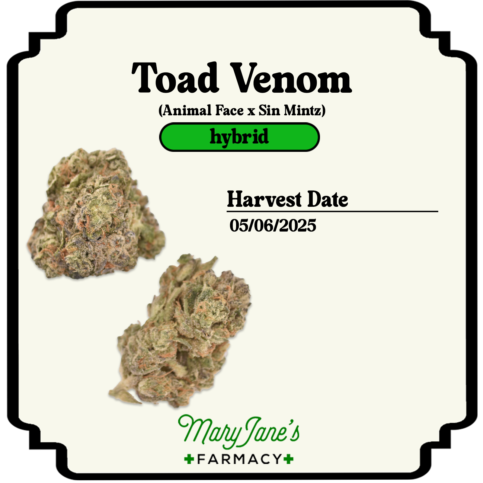Photograph of product: Toad Venom Prepackaged Eighth | 3.5g