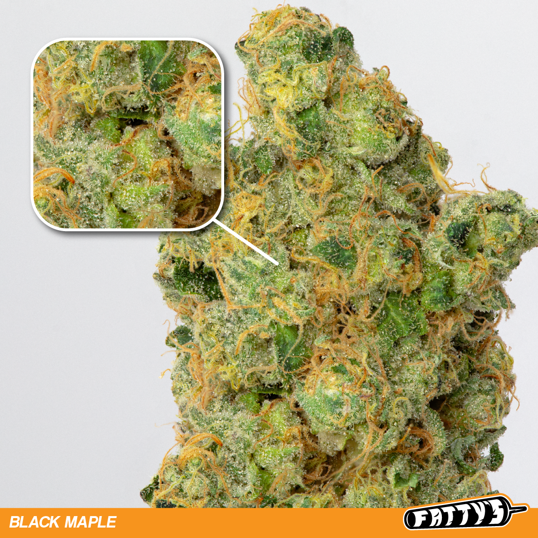 Photograph of product: Fatty's | Black Maple - 28g