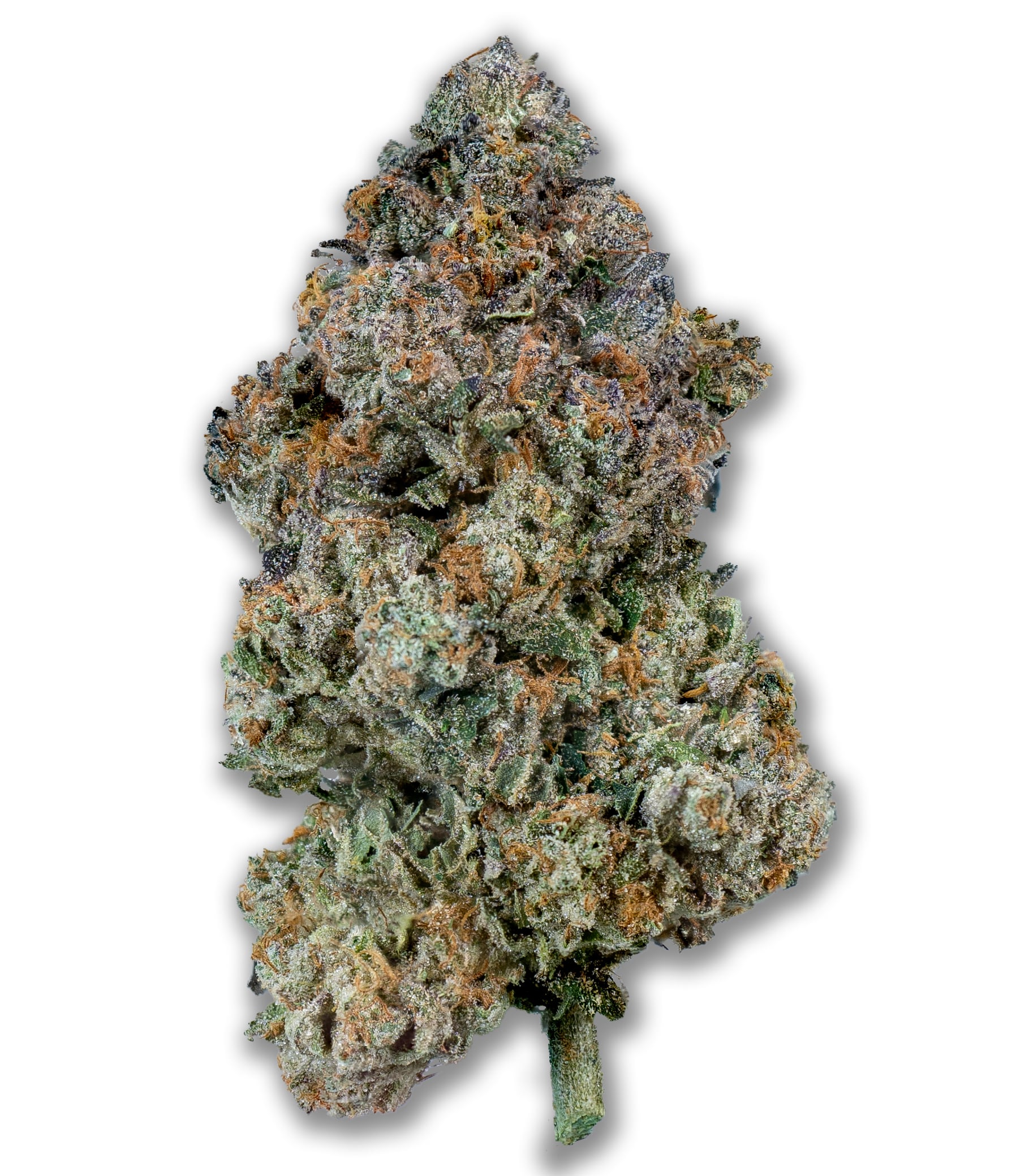 Photograph of product: 8th - High Society - (Hybrid) - 25.12%TH-oui (+/-10%) - Denver Cole- 9780 - 3.5g
