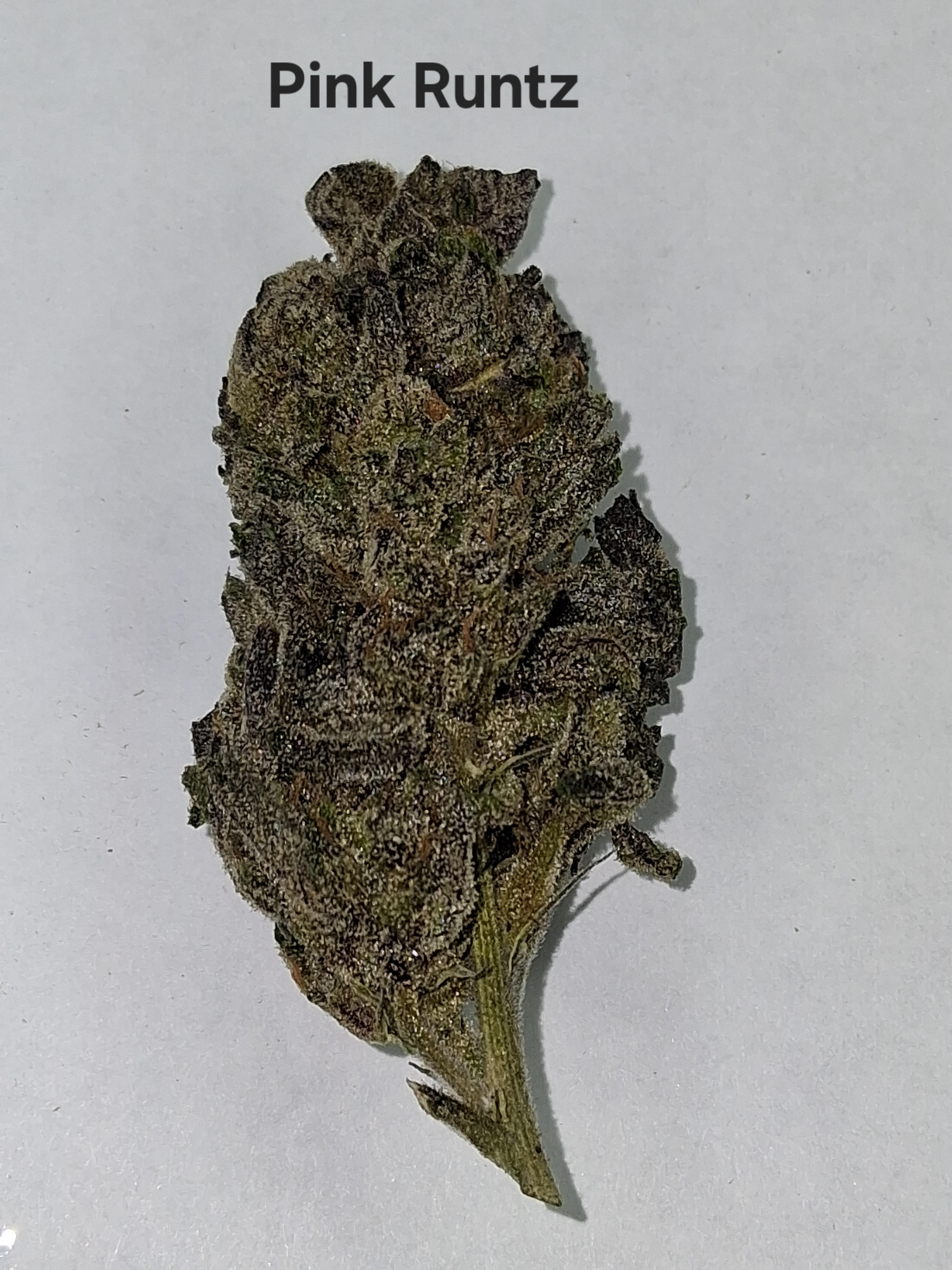 Photograph of product: Pink Runtz A Bud/Top Shelf-Greenway Farm - 28g