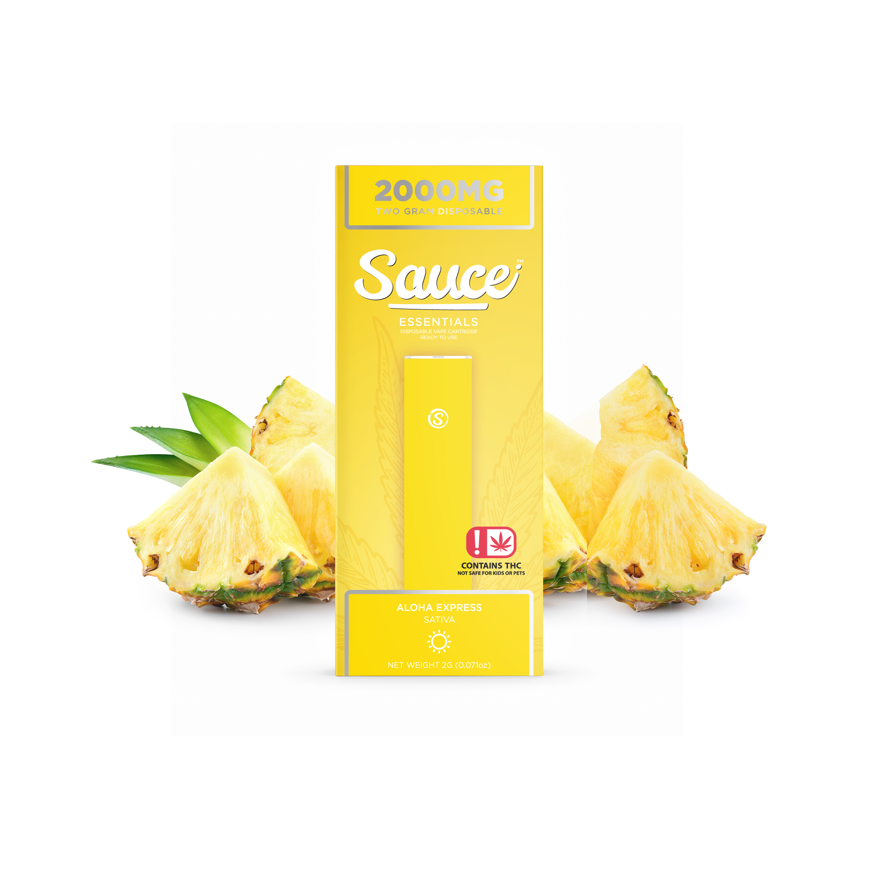 Photograph of product: Aloha Express - Sauce Disposable