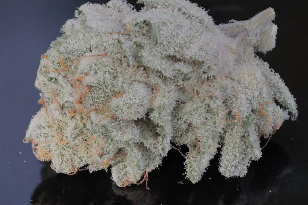 Photograph of product: Narvona | Bubba Whip| Flower - 28g