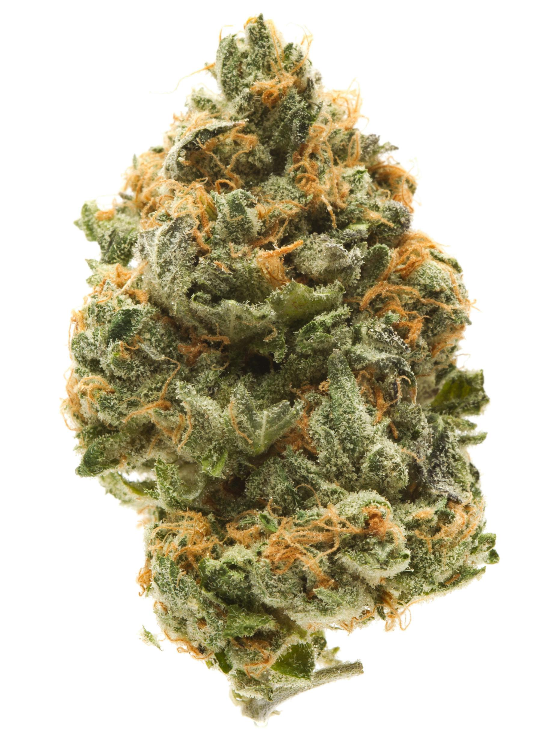 Photograph of product: Banana Pie Bag | High Altitude - 28g
