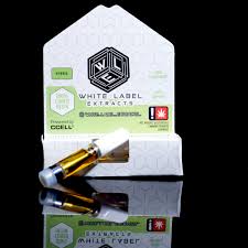 Photograph of product: Daytona Cured Resin Cartridge (WLE)