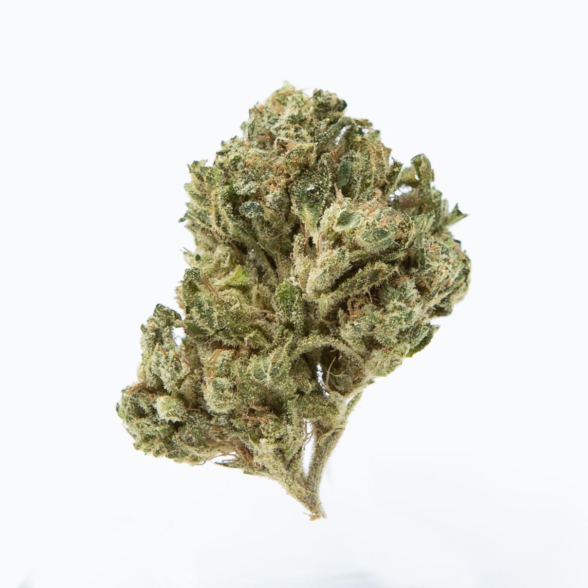Photograph of product: Pave (Oui'd) - 0.5g Preroll