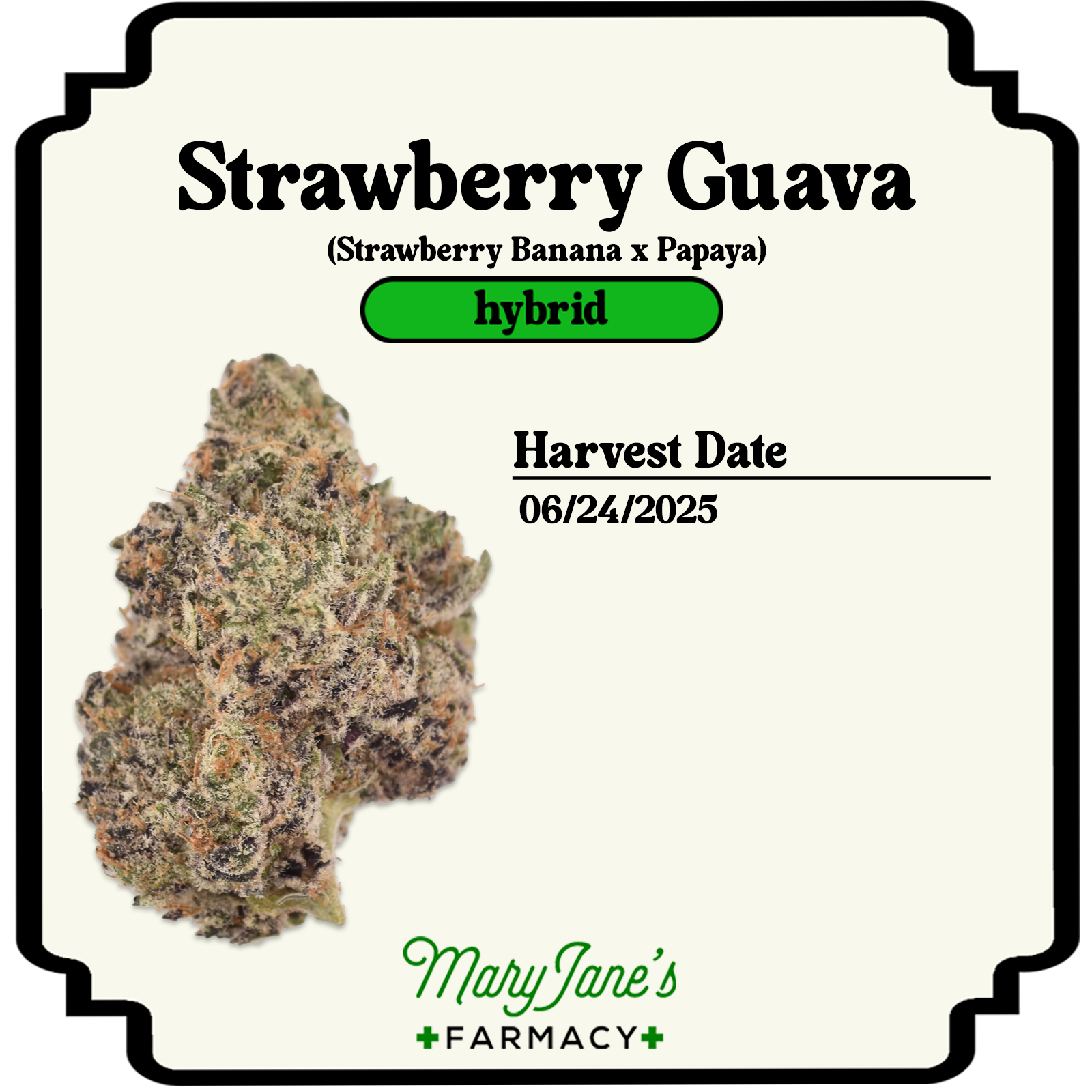 Photograph of product: Strawberry Guava - 28g