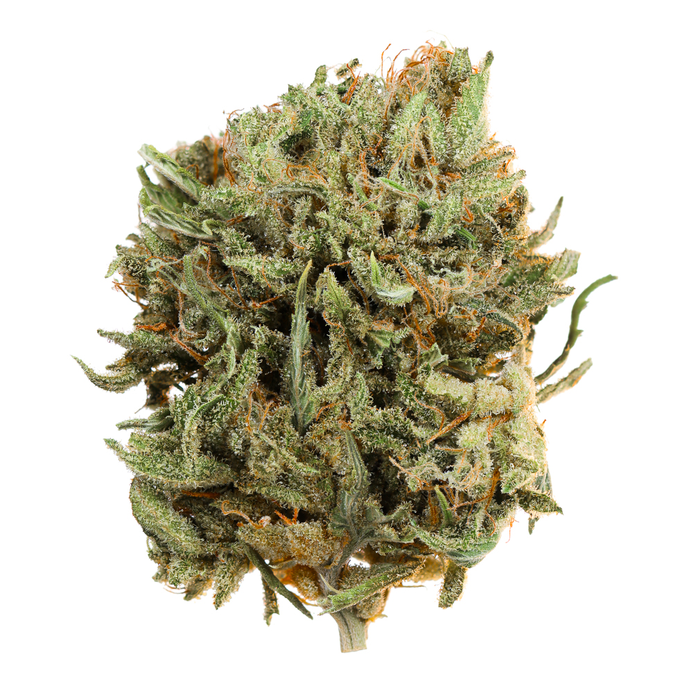 Photograph of product: CANDIED BACON 7.5G