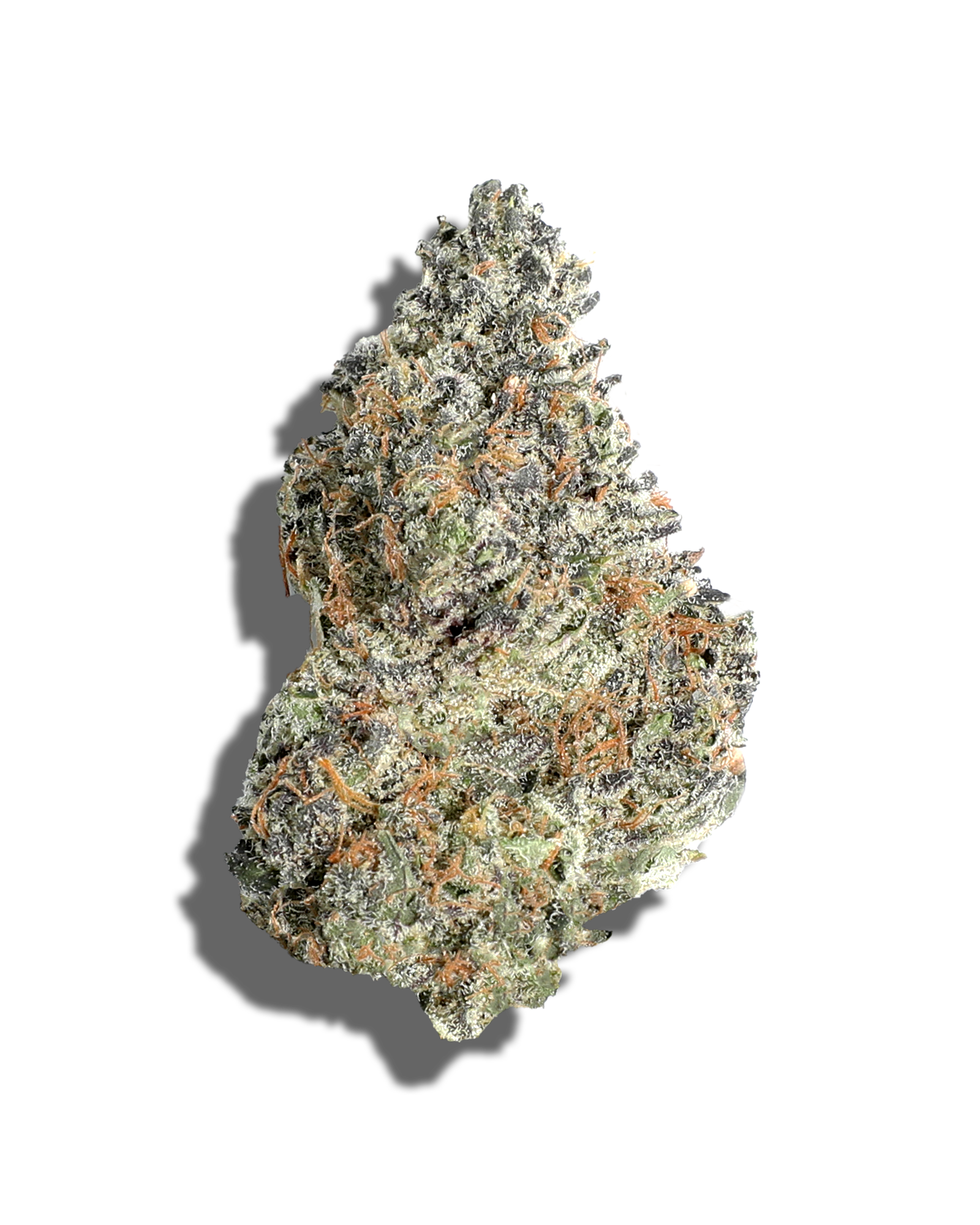 Photograph of product: Roy G Biv 1oz