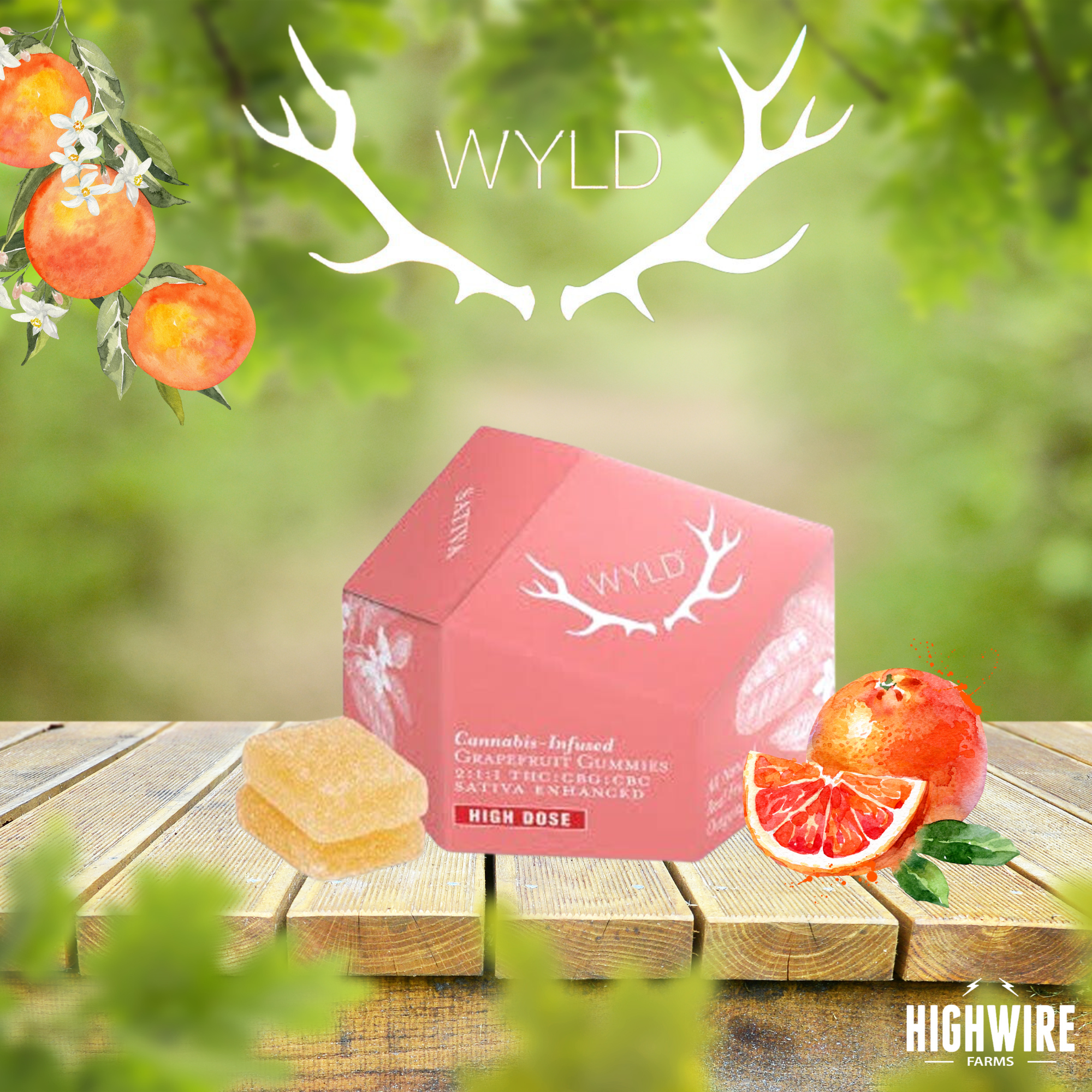 Photograph of product: WYLD Gummies Grapefruit 2:1:1 200mg