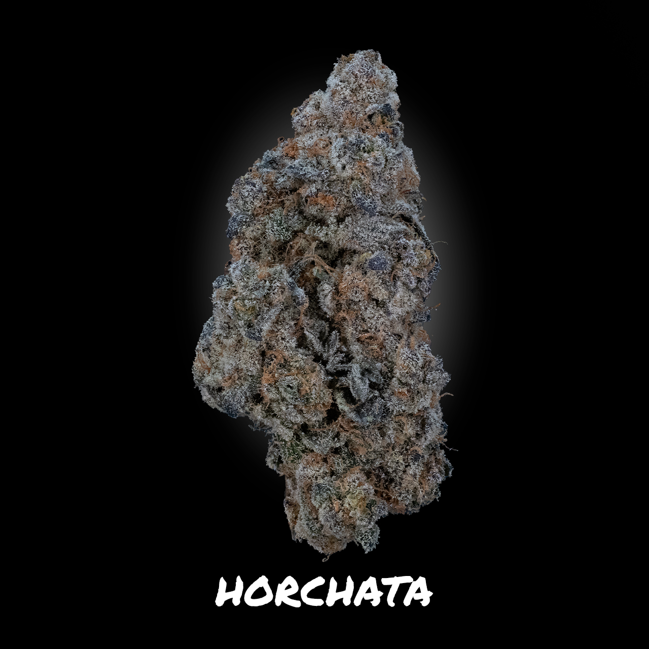 Photograph of product: Horchata - Demboyz Prepackaged Flower - 3.5g