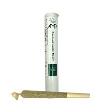 Photograph of product: Chem Prj | Amp