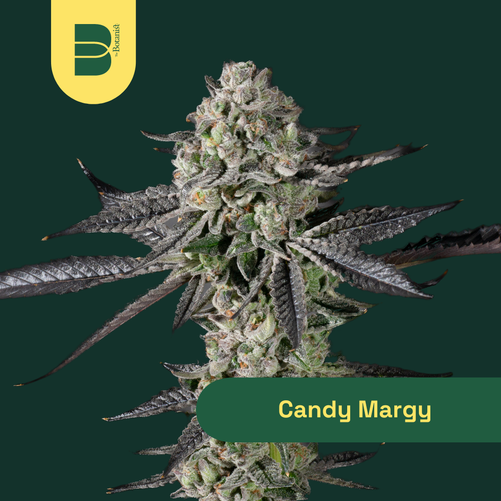 Photograph of product: Candy Margy - 7g