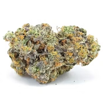 Photograph of product: Hustler's Ambition | Donny Burger (I) - 3.5g