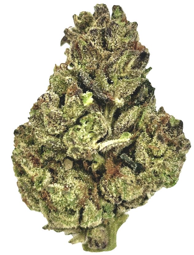 Photograph of product: Biscotti Mints - 28g