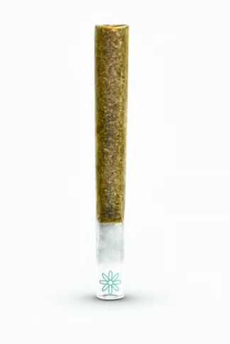 Photograph of product: Jealousy Glass Tip Prerolls