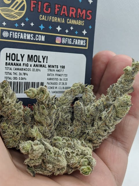 Photograph of product: Holy Moly! 3.5g - Eighth
