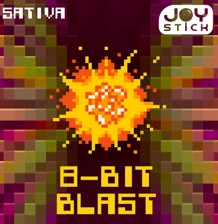 Photograph of product: [REC] Joy Stick | 8-Bit Blast | Cartridge 1g