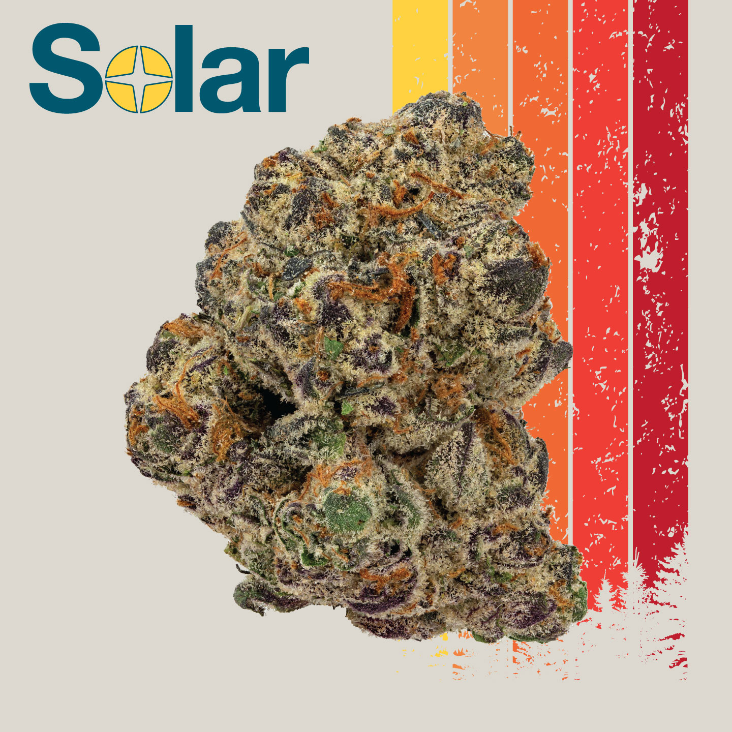 Photograph of product: Laughing Gas x Lemon Kush Mints | Solar | 28g
