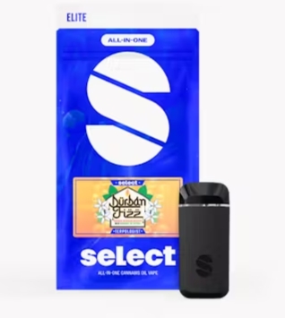 Photograph of product: Select Terpologist Briq Disposable Durban Fizz /2000mg - 8401