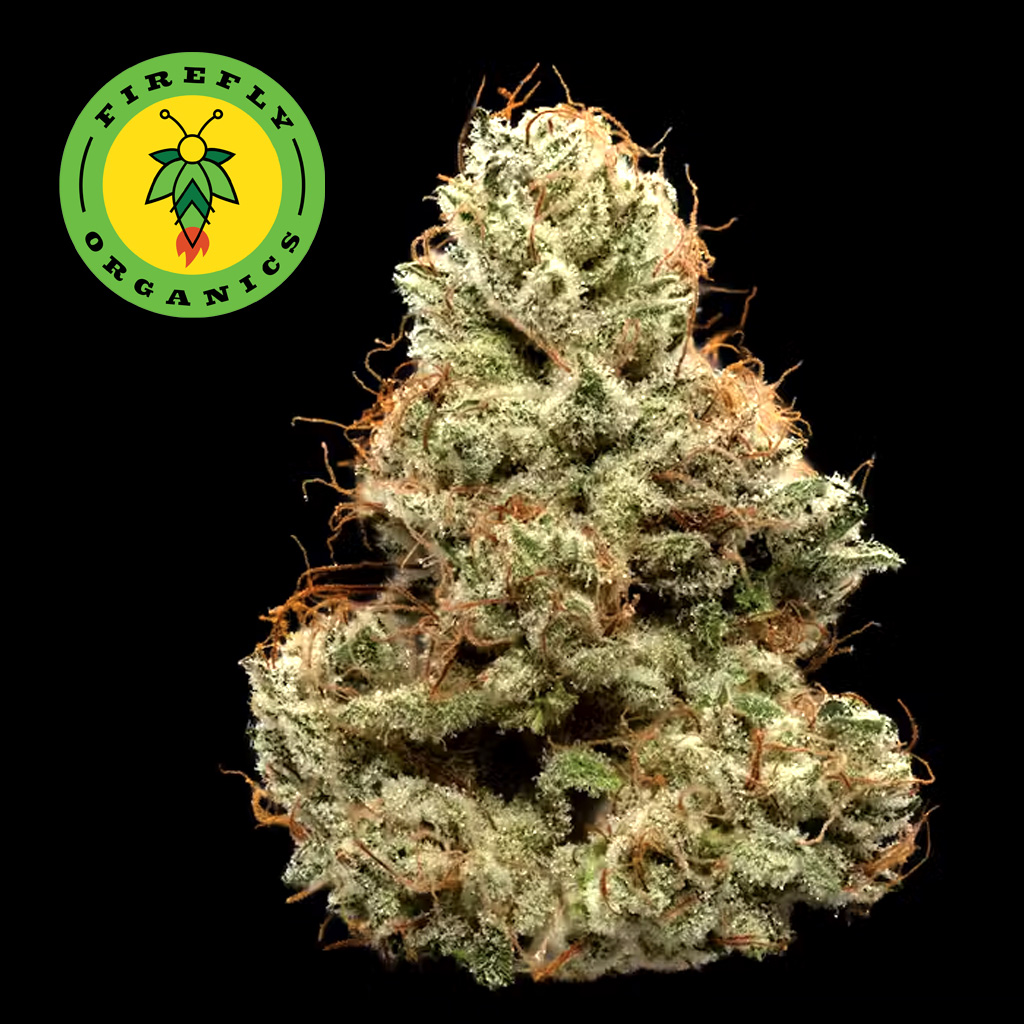 Photograph of product: Albarino cultivated by Firefly Organics - 3.5g