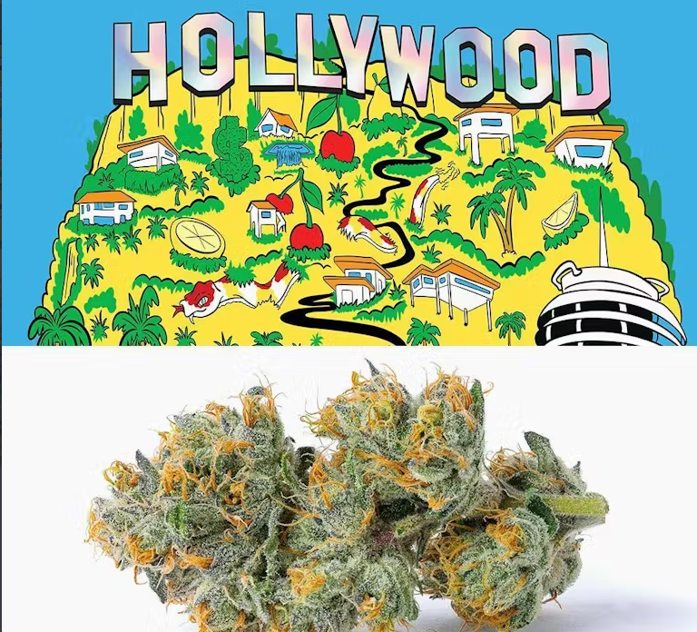 Photograph of product: Cookie's - Hollywood - - Flower - 3.5g