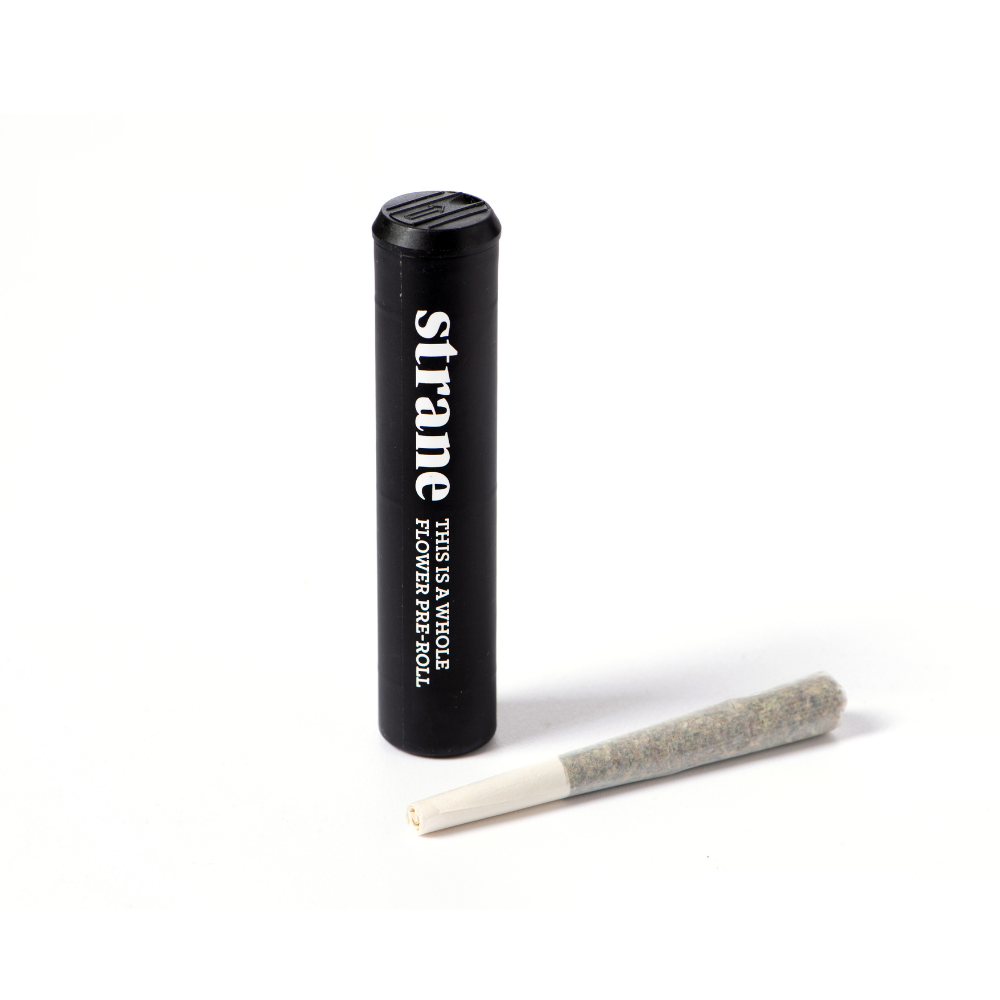 Photograph of product: Governmint Oasis Pre-Roll | 2 x 0.5g