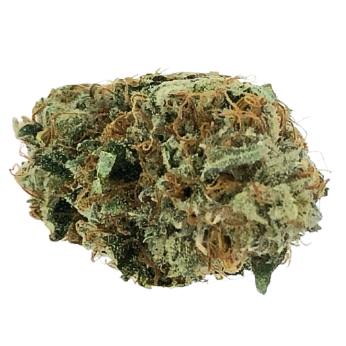 Photograph of product: WOJO Bloom Smoothie Pre-Packed 3.5g