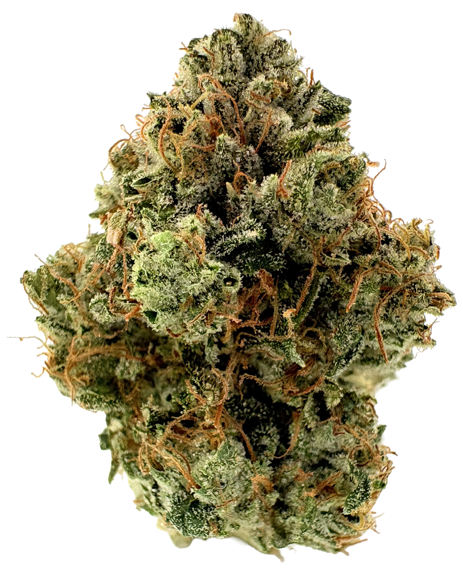 Photograph of product: MOCA | Hangar 272 | 3.5G