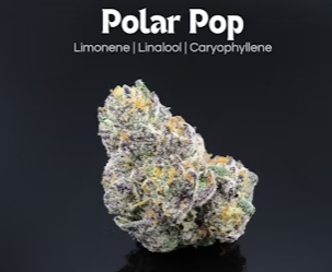 Photograph of product: Polar Pop | 14.15g
